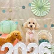 ヒメ日記 2026/01/04 07:01 投稿 ちか☆爆乳ロリ系神カワJK JKサークル