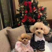 ヒメ日記 2026/01/07 07:01 投稿 ちか☆爆乳ロリ系神カワJK JKサークル