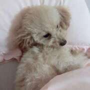 ヒメ日記 2026/01/14 10:13 投稿 ちか☆爆乳ロリ系神カワJK JKサークル