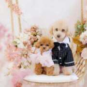 ヒメ日記 2026/01/15 07:58 投稿 ちか☆爆乳ロリ系神カワJK JKサークル