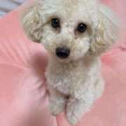 ヒメ日記 2026/01/16 13:53 投稿 ちか☆爆乳ロリ系神カワJK JKサークル