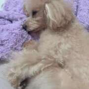 ヒメ日記 2026/01/19 12:47 投稿 ちか☆爆乳ロリ系神カワJK JKサークル