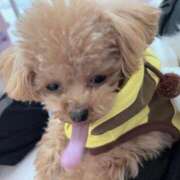 ヒメ日記 2026/01/23 23:58 投稿 ちか☆爆乳ロリ系神カワJK JKサークル