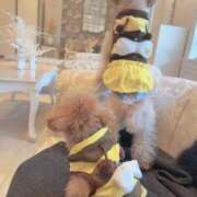 ヒメ日記 2026/01/24 12:17 投稿 ちか☆爆乳ロリ系神カワJK JKサークル