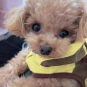 ヒメ日記 2026/01/30 08:16 投稿 ちか☆爆乳ロリ系神カワJK JKサークル