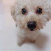 ヒメ日記 2026/01/31 12:29 投稿 ちか☆爆乳ロリ系神カワJK JKサークル