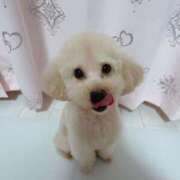 ヒメ日記 2026/02/07 07:01 投稿 ちか☆爆乳ロリ系神カワJK JKサークル