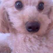 ヒメ日記 2026/02/17 14:30 投稿 ちか☆爆乳ロリ系神カワJK JKサークル