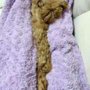 ヒメ日記 2026/02/20 23:40 投稿 ちか☆爆乳ロリ系神カワJK JKサークル