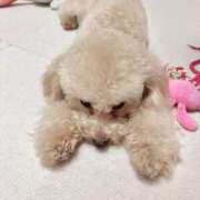 ヒメ日記 2026/02/21 07:02 投稿 ちか☆爆乳ロリ系神カワJK JKサークル