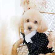 ヒメ日記 2026/02/28 07:01 投稿 ちか☆爆乳ロリ系神カワJK JKサークル