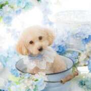 ヒメ日記 2026/03/01 12:10 投稿 ちか☆爆乳ロリ系神カワJK JKサークル