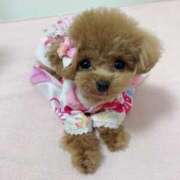 ヒメ日記 2026/03/02 07:01 投稿 ちか☆爆乳ロリ系神カワJK JKサークル