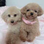 ヒメ日記 2026/03/02 23:41 投稿 ちか☆爆乳ロリ系神カワJK JKサークル