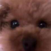 ヒメ日記 2026/03/03 21:48 投稿 ちか☆爆乳ロリ系神カワJK JKサークル