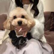 ヒメ日記 2026/03/04 07:02 投稿 ちか☆爆乳ロリ系神カワJK JKサークル