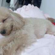 ヒメ日記 2026/03/05 07:01 投稿 ちか☆爆乳ロリ系神カワJK JKサークル