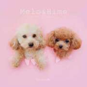 ヒメ日記 2026/03/06 07:01 投稿 ちか☆爆乳ロリ系神カワJK JKサークル