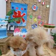 ヒメ日記 2026/03/06 17:14 投稿 ちか☆爆乳ロリ系神カワJK JKサークル