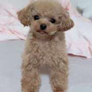 ヒメ日記 2026/03/07 07:02 投稿 ちか☆爆乳ロリ系神カワJK JKサークル