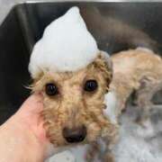 ヒメ日記 2026/03/08 07:58 投稿 ちか☆爆乳ロリ系神カワJK JKサークル