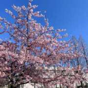 ヒメ日記 2026/03/08 22:16 投稿 ちか☆爆乳ロリ系神カワJK JKサークル