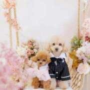 ヒメ日記 2026/03/08 23:02 投稿 ちか☆爆乳ロリ系神カワJK JKサークル