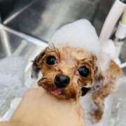 ヒメ日記 2026/03/09 07:01 投稿 ちか☆爆乳ロリ系神カワJK JKサークル