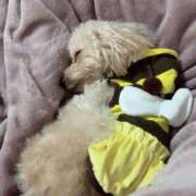 ヒメ日記 2026/03/11 07:01 投稿 ちか☆爆乳ロリ系神カワJK JKサークル