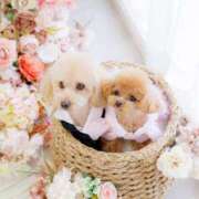 ヒメ日記 2026/03/12 07:02 投稿 ちか☆爆乳ロリ系神カワJK JKサークル