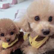 ヒメ日記 2026/03/13 09:24 投稿 ちか☆爆乳ロリ系神カワJK JKサークル