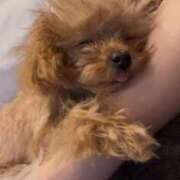 ヒメ日記 2026/03/14 07:01 投稿 ちか☆爆乳ロリ系神カワJK JKサークル