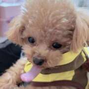 ヒメ日記 2026/03/16 07:02 投稿 ちか☆爆乳ロリ系神カワJK JKサークル