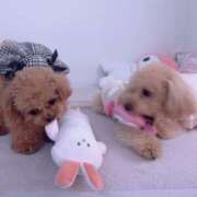 ヒメ日記 2026/03/16 22:25 投稿 ちか☆爆乳ロリ系神カワJK JKサークル