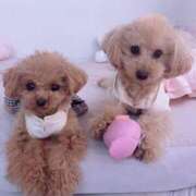 ヒメ日記 2026/03/17 07:03 投稿 ちか☆爆乳ロリ系神カワJK JKサークル