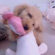 ヒメ日記 2026/03/17 23:45 投稿 ちか☆爆乳ロリ系神カワJK JKサークル