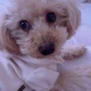 ヒメ日記 2026/03/19 10:41 投稿 ちか☆爆乳ロリ系神カワJK JKサークル