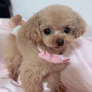 ヒメ日記 2026/03/21 07:02 投稿 ちか☆爆乳ロリ系神カワJK JKサークル