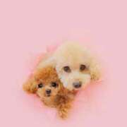 ヒメ日記 2026/03/21 12:59 投稿 ちか☆爆乳ロリ系神カワJK JKサークル