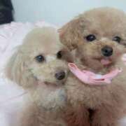 ヒメ日記 2026/03/24 07:06 投稿 ちか☆爆乳ロリ系神カワJK JKサークル