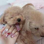 ヒメ日記 2026/03/24 22:55 投稿 ちか☆爆乳ロリ系神カワJK JKサークル