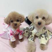 ヒメ日記 2026/03/25 11:04 投稿 ちか☆爆乳ロリ系神カワJK JKサークル