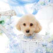 ヒメ日記 2026/03/28 07:02 投稿 ちか☆爆乳ロリ系神カワJK JKサークル