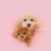 ヒメ日記 2026/03/28 23:13 投稿 ちか☆爆乳ロリ系神カワJK JKサークル