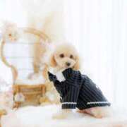 ヒメ日記 2026/03/31 07:01 投稿 ちか☆爆乳ロリ系神カワJK JKサークル