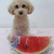 ヒメ日記 2026/03/31 23:27 投稿 ちか☆爆乳ロリ系神カワJK JKサークル