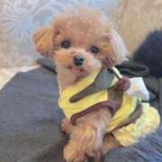 ヒメ日記 2026/04/01 07:34 投稿 ちか☆爆乳ロリ系神カワJK JKサークル