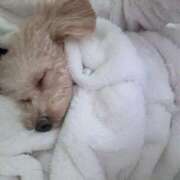 ヒメ日記 2026/04/02 07:02 投稿 ちか☆爆乳ロリ系神カワJK JKサークル