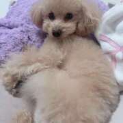 ヒメ日記 2026/04/04 07:16 投稿 ちか☆爆乳ロリ系神カワJK JKサークル