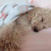 ヒメ日記 2026/04/16 07:02 投稿 ちか☆爆乳ロリ系神カワJK JKサークル